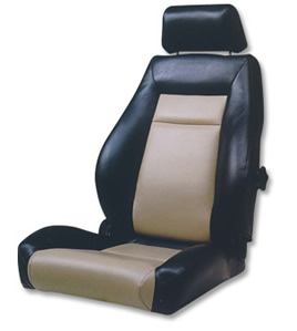 Elite Sport Vehicle Seat